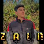 Zain Raza Profile Picture