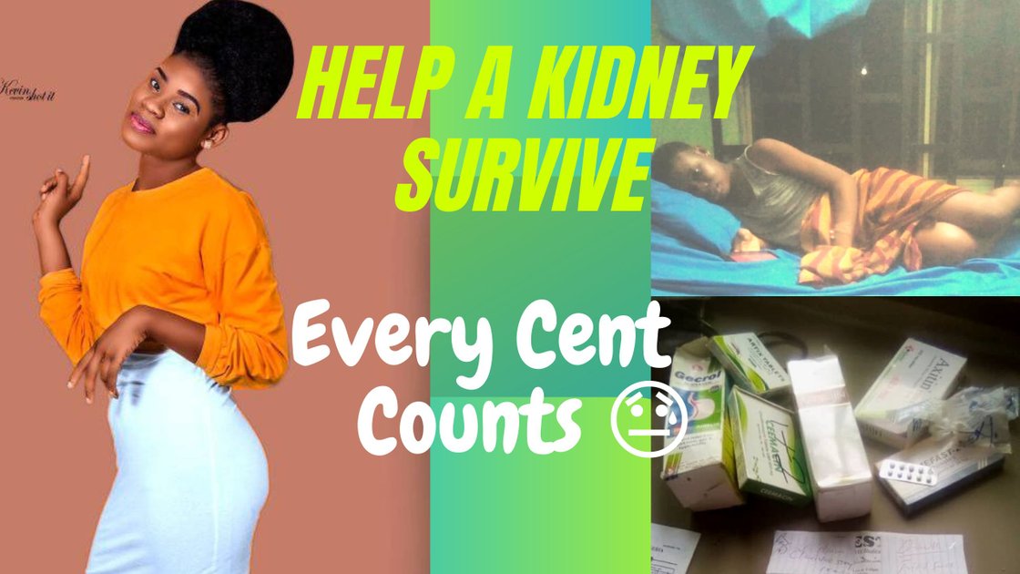 Help A Kidney Survive - Every Cent Counts ?? | PeakD