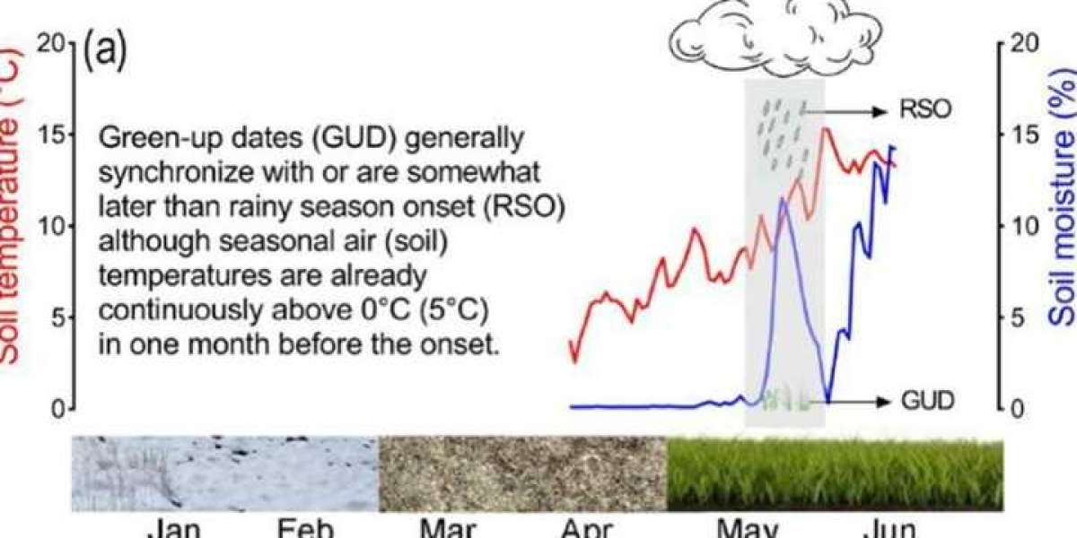 Increased precipitation rather than warming leading to earlier spring bloom and later senescence in Tibetan alpine grass