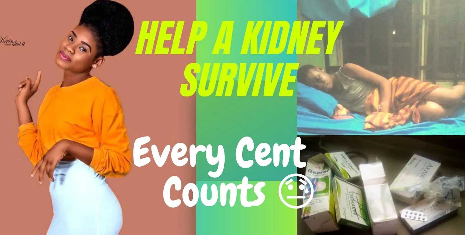 Help A Kidney Survive - Every Cent Counts ??