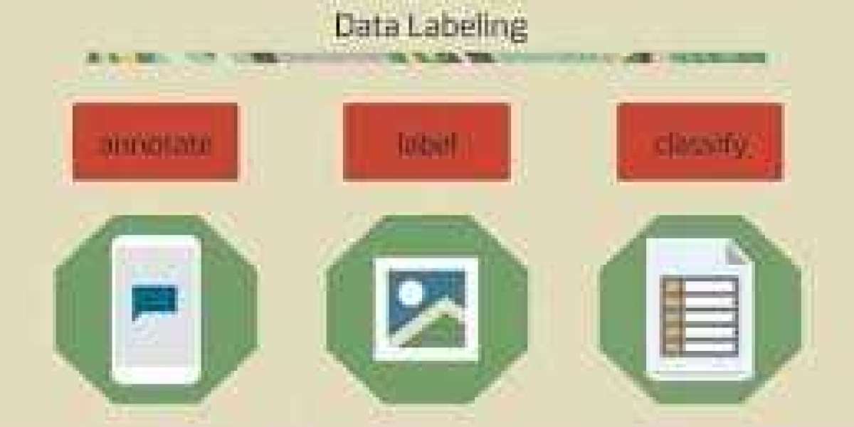 Data Labeling
