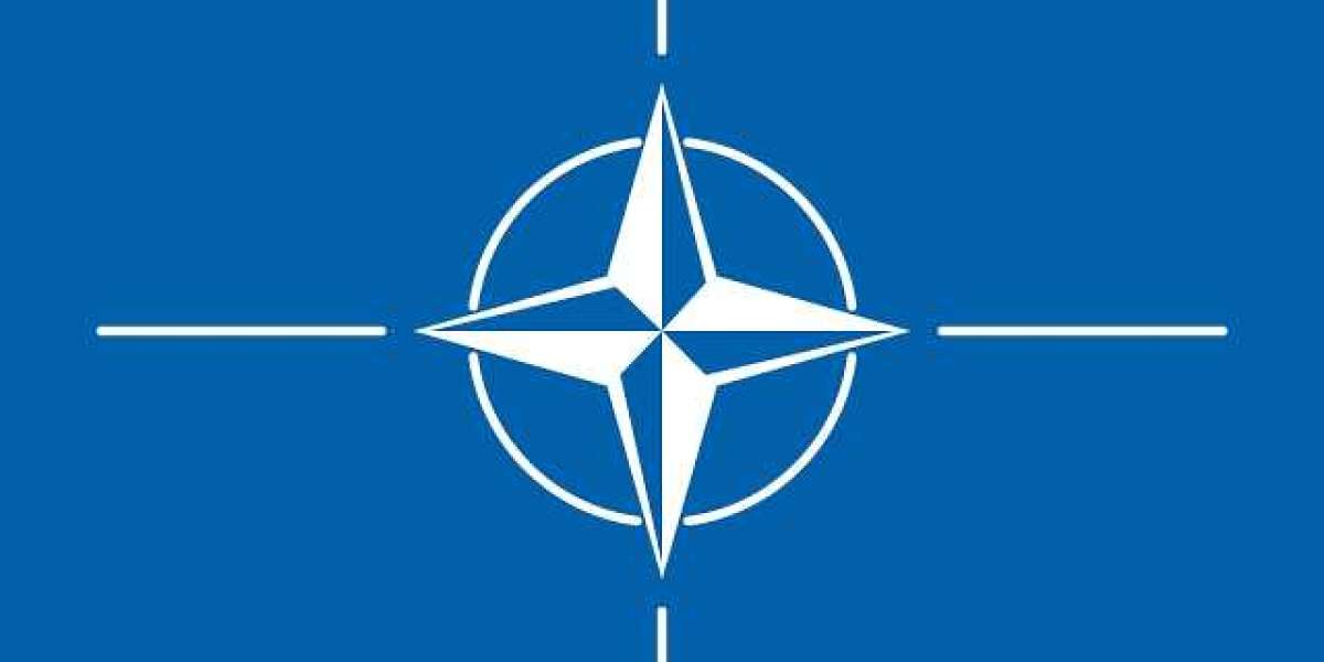 The Role of NATO in the Changing Global Landscape: Challenges and Opportunities