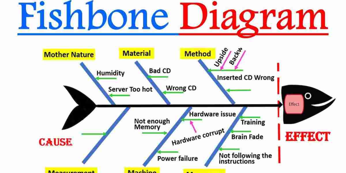 The Fishbone Diagram