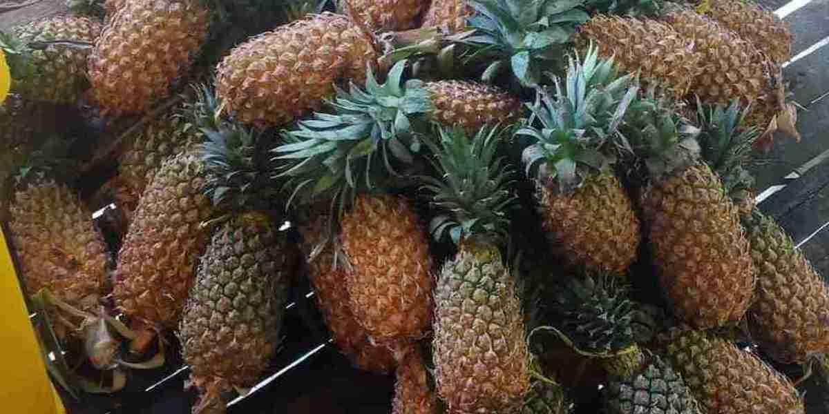 About the Nenas or Pineapple