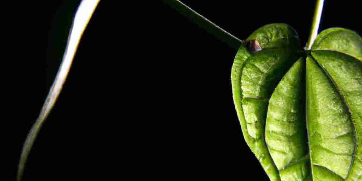 The Hidden Language of Plants: Unlocking the Secrets of Inter-Plant Communication