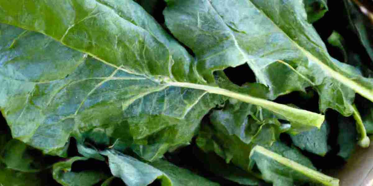 The Powerhouse of Baby Kale: Unlocking its Health Benefits for Baby's Growth and Development