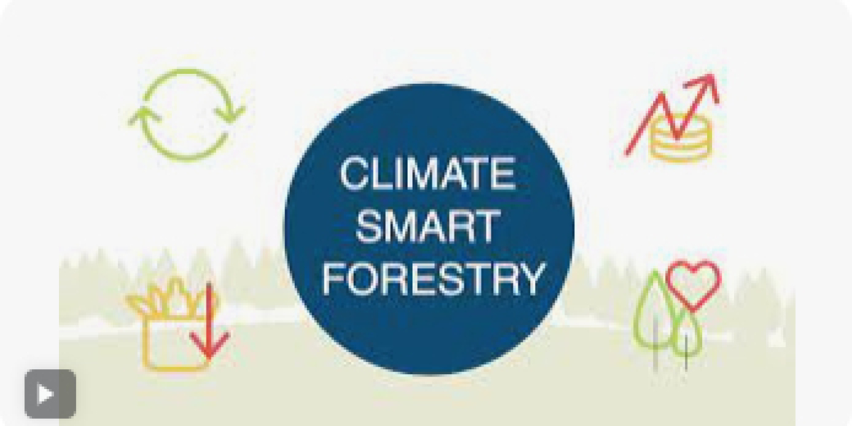 What Is Climate-Smart Forestry? - Alabama Cooperative Extension System