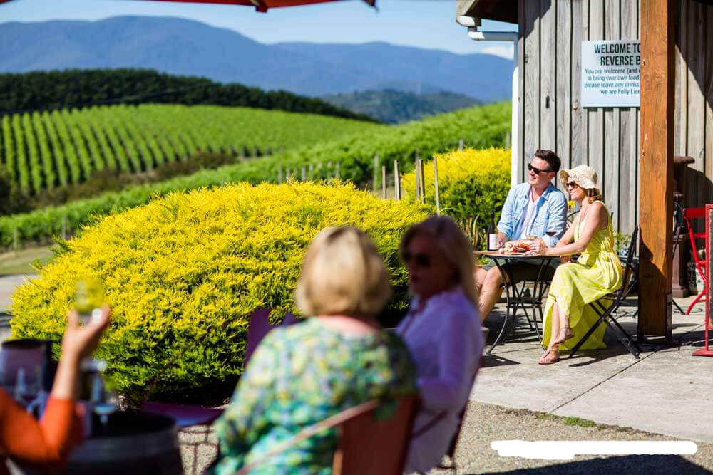 Yarra Valley Winery Tours | Winery Tours Melbourne | Yarra Valley Winery Tours From Melbourne | Yarra Chauffeurs